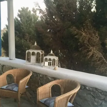 Traditional House منزل ريفي *